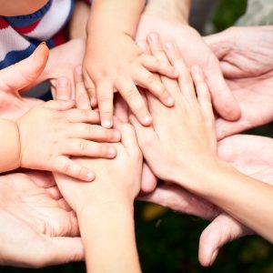 Členské příspěvky