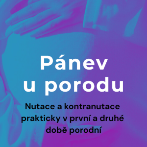 Pánev u porodu – nutace a kontranutace prakticky - ZÁZNAM z webináře