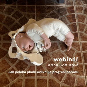 Jak poloha plodu ovlivňuje progresi porodu (8.12.2025)