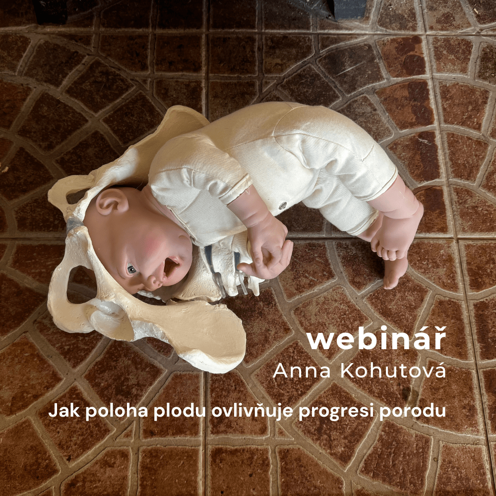 Jak poloha plodu ovlivňuje progresi porodu (8.12.2025)