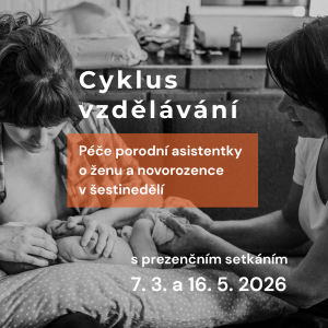 Péče porodní asistentky o ženu a novorozence v šestinedělí (2)