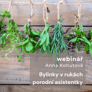 Bylinky v rukách porodní asistentky