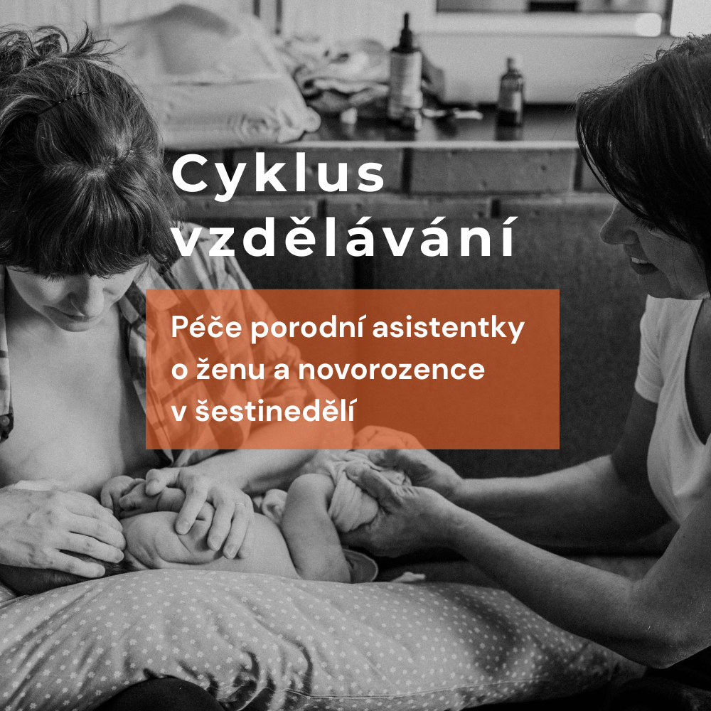 Péče porodní asistentky o ženu a novorozence v šestinedělí – doplatek