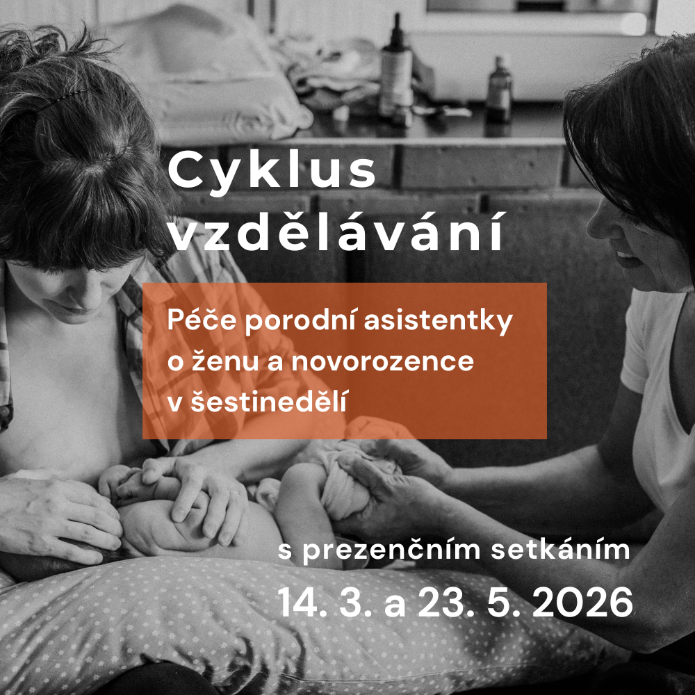 Péče porodní asistentky o ženu a novorozence v šestinedělí (3)