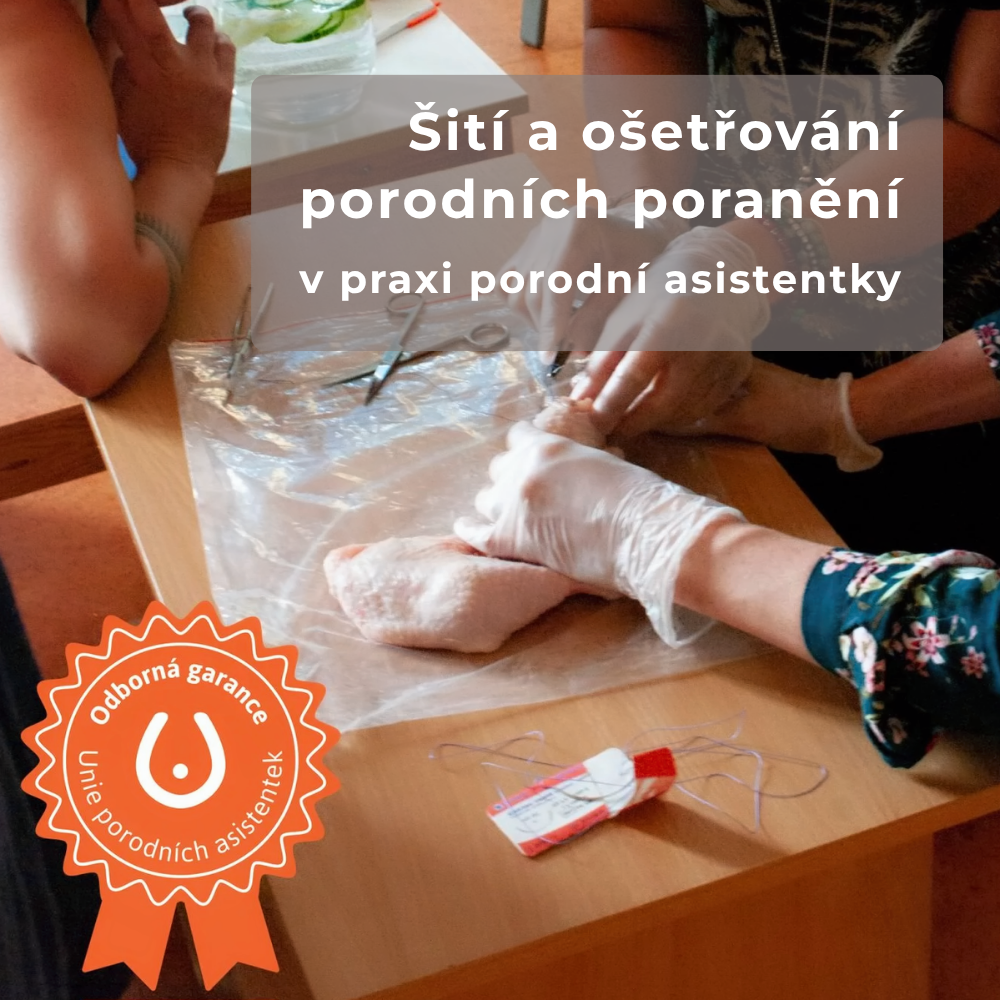 Šití a ošetřování porodních poranění v praxi porodní asistentky, 31. 10. 2026