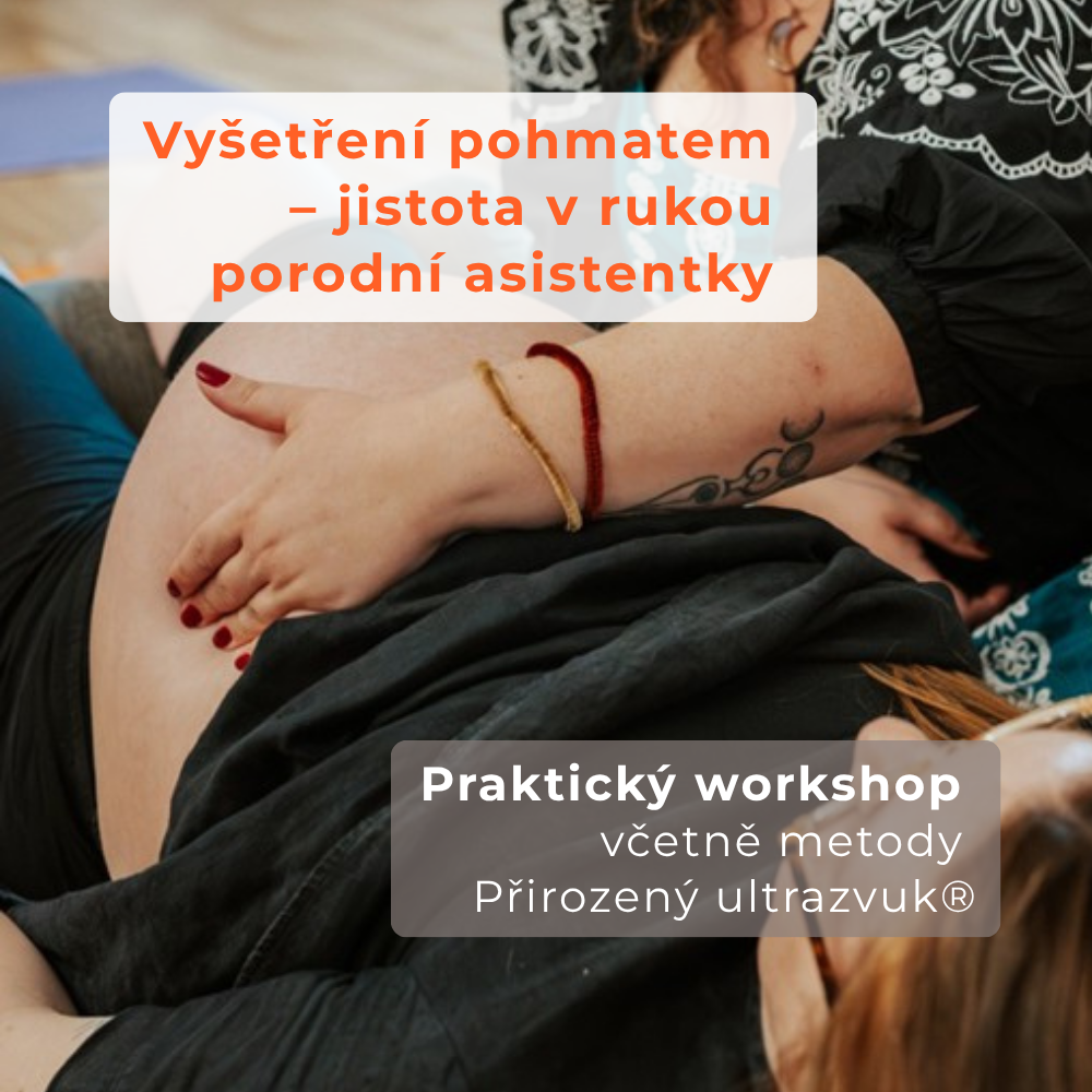 Vyšetření pohmatem – jistota v rukou porodní asistentky, 17.10.2026