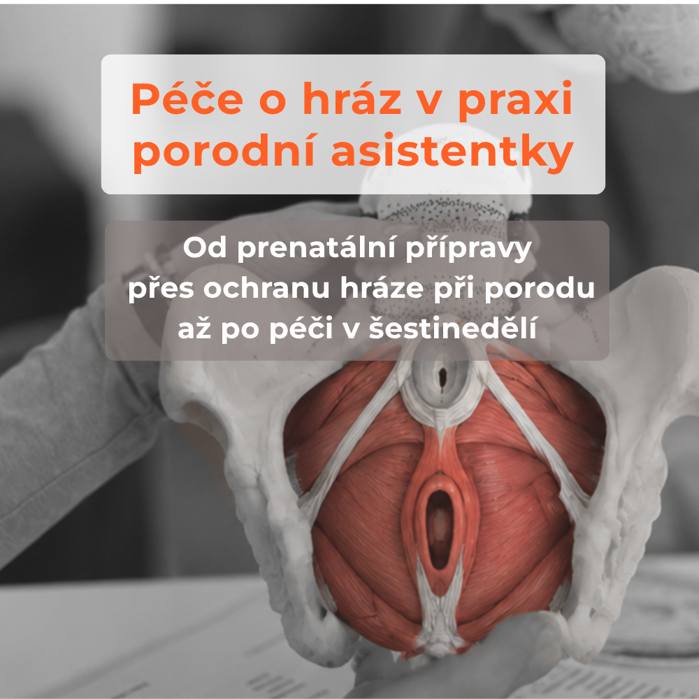 Péče o hráz v praxi porodní asistentky, 6.11.2026
