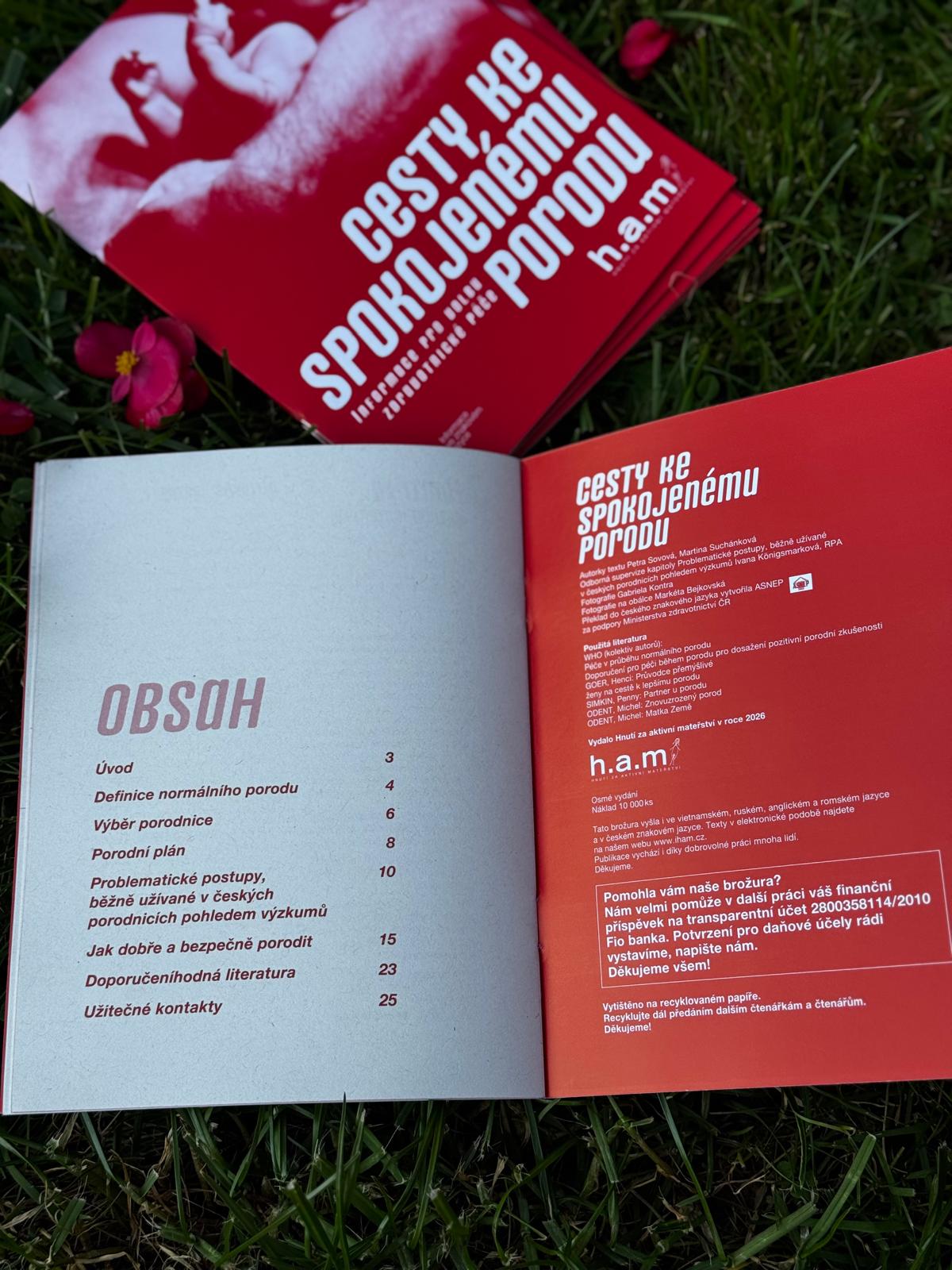 Cesty ke spokojenému porodu - Obrázek 3