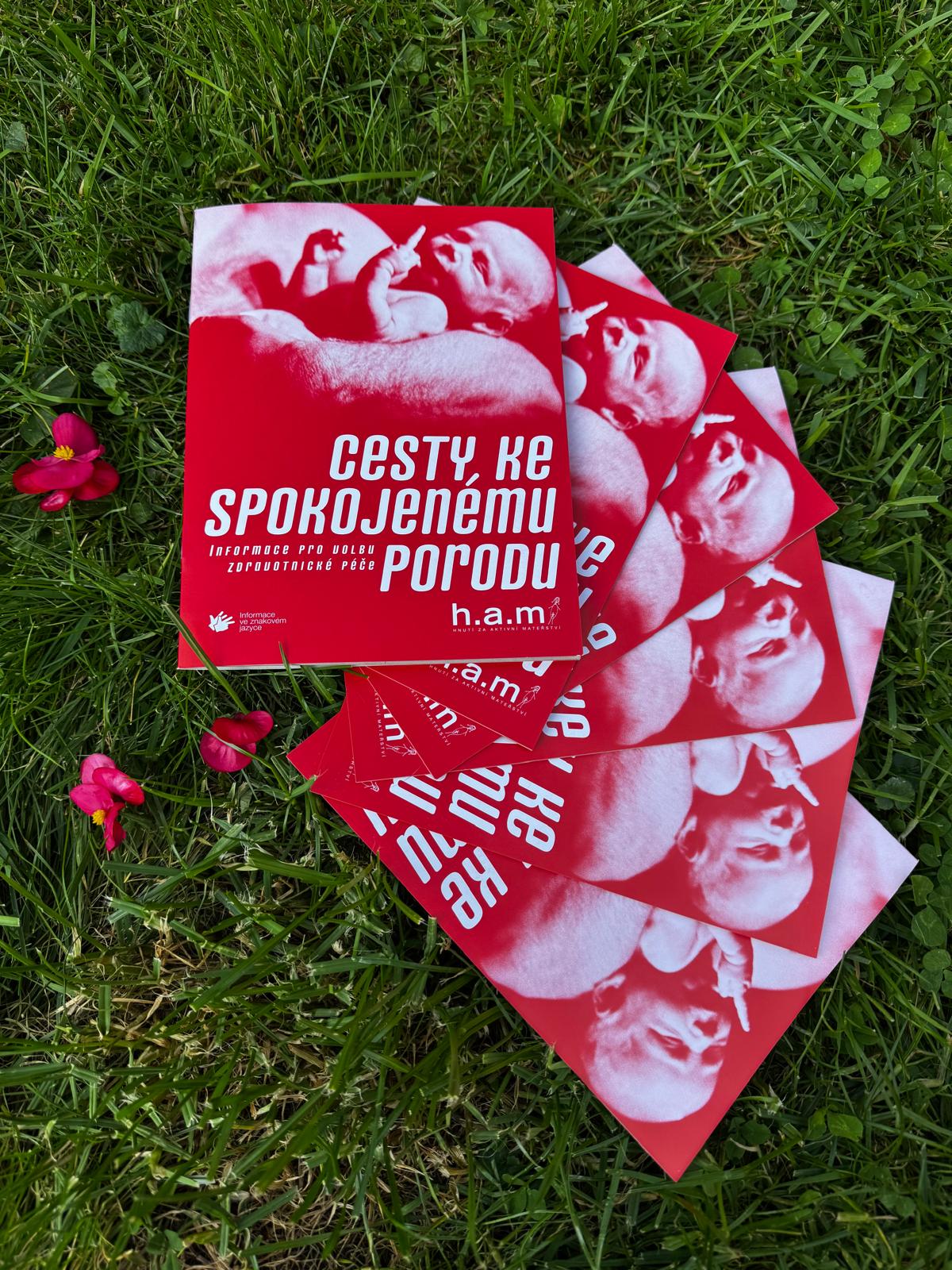 Cesty ke spokojenému porodu - Obrázek 2