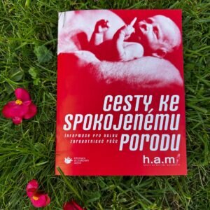 Cesty ke spokojenému porodu