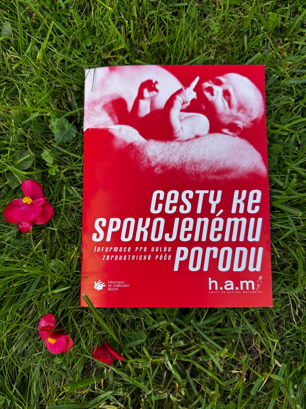 Cesty ke spokojenému porodu