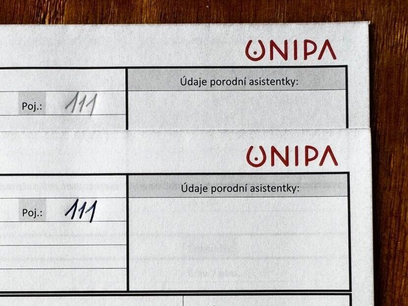Poporodní návštěva novorozenec (samopropisující) - Obrázek 2